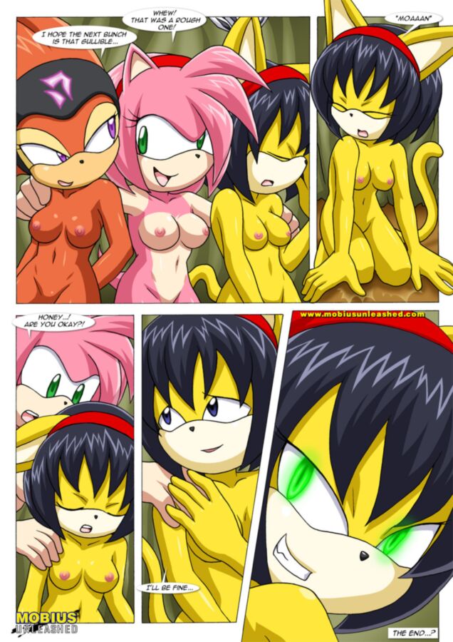 Free porn pics of Inju Hunters: Sonic the Hedgehog 15 of 15 pics