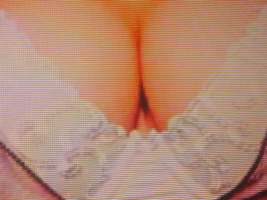 Free porn pics of Hot babes 3 of 5 pics