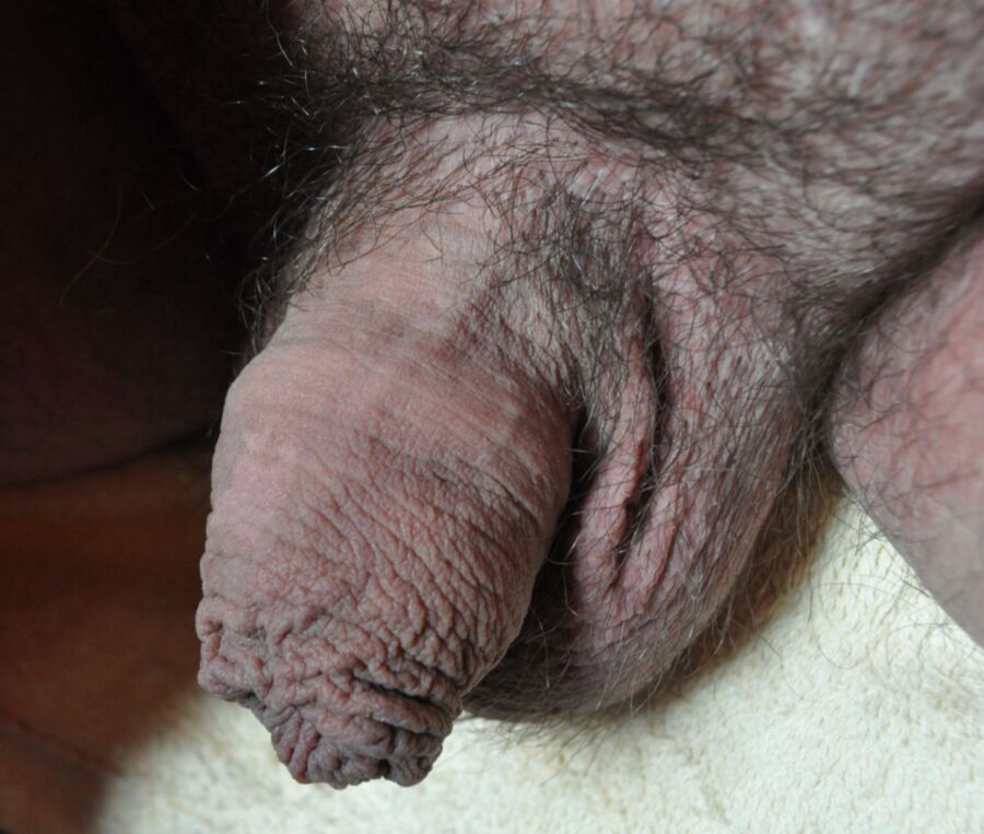 Free porn pics of Cock, pubes, gay, hairy 14 of 21 pics