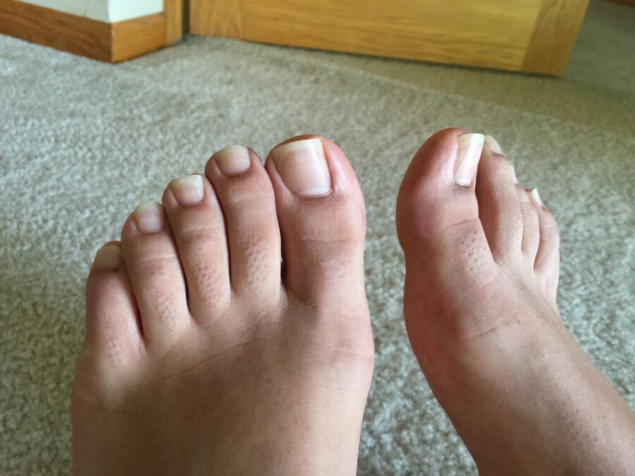 Free porn pics of Could You Fit These Plump Toes In Your Gob! 1 of 50 pics
