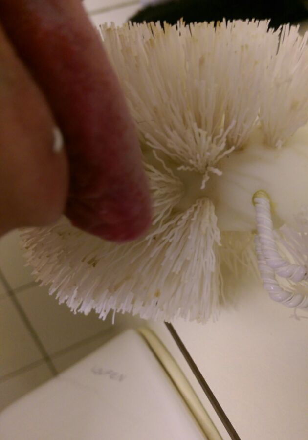 Free porn pics of fag licking public toilet urinal toilet brush naked 12 of 51 pics