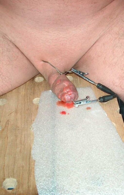 free gay videos too gay porn daddy twink