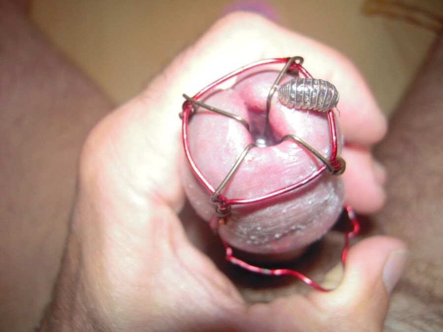 Terri- insect masturbation
