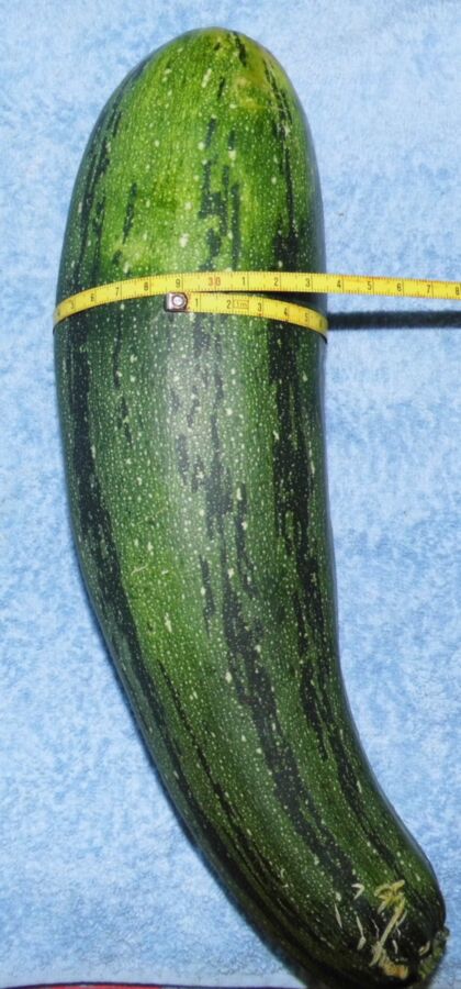 Free porn pics of Large zucchini in my ass (deep penetration) !!! 2 of 40 pics
