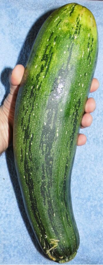 Free porn pics of Large zucchini in my ass (deep penetration) !!! 1 of 40 pics