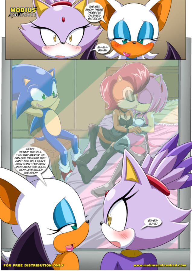 Free porn pics of Heat of Passion - Sonic the Hedgehog 11 of 40 pics