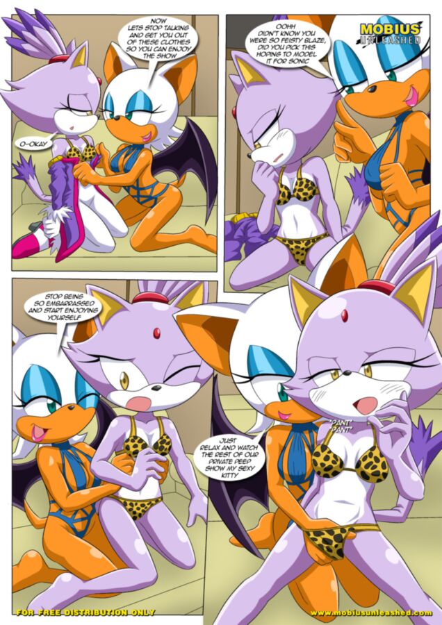 Free porn pics of Heat of Passion - Sonic the Hedgehog 17 of 40 pics