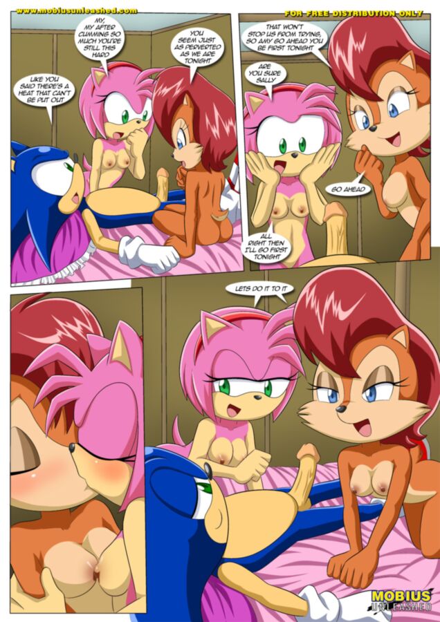 Free porn pics of Heat of Passion - Sonic the Hedgehog 20 of 40 pics
