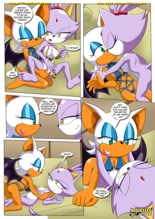 Free porn pics of Heat of Passion - Sonic the Hedgehog 24 of 40 pics