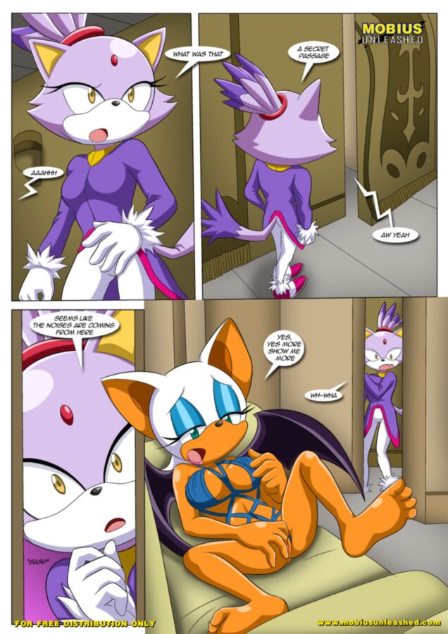 Free porn pics of Heat of Passion - Sonic the Hedgehog 8 of 40 pics