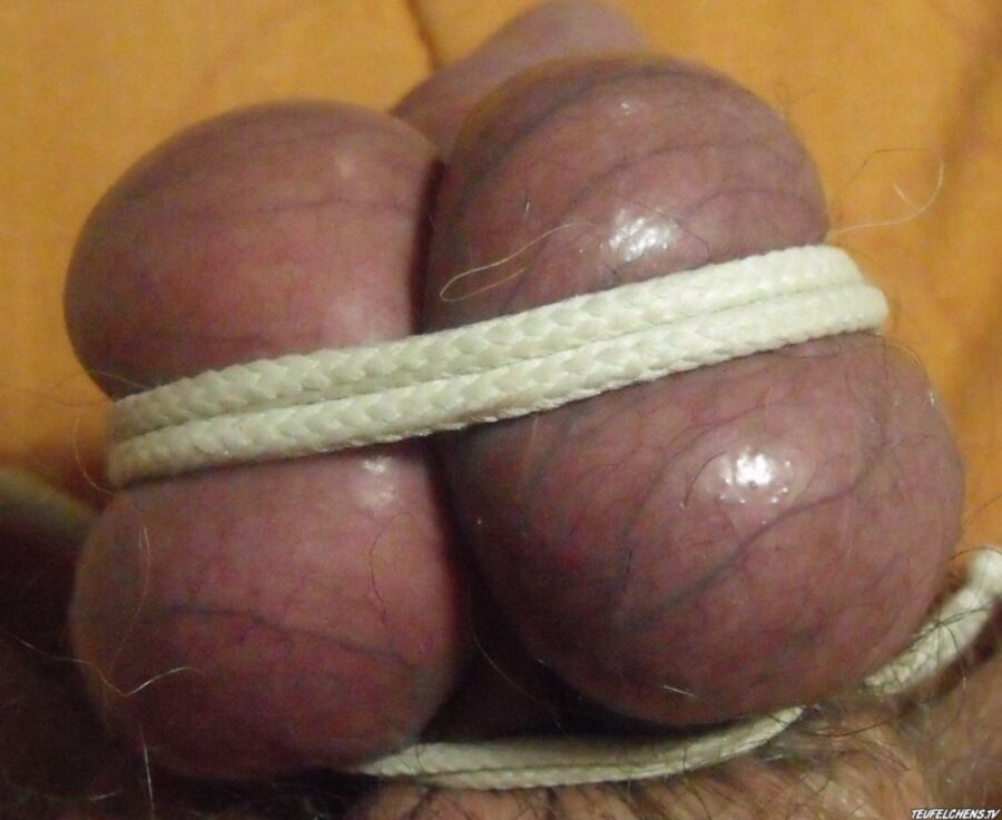 Free porn pics of Bounded Balls Closeup 15 of 20 pics