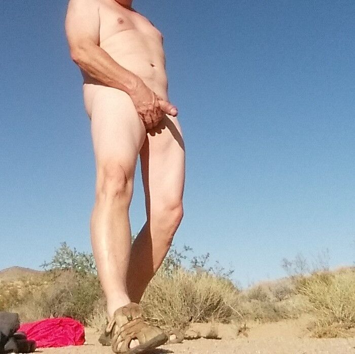 High desert swingers