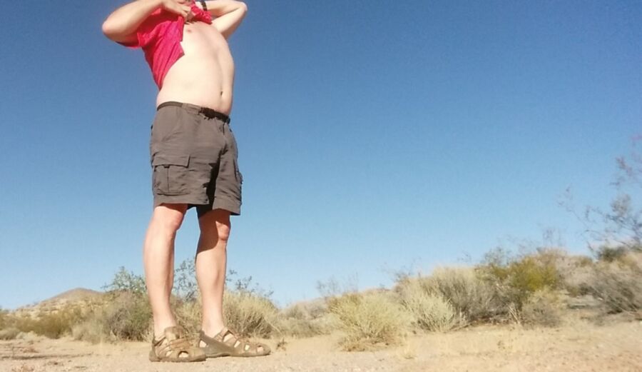 High desert swingers