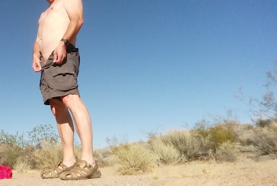 High desert swingers
