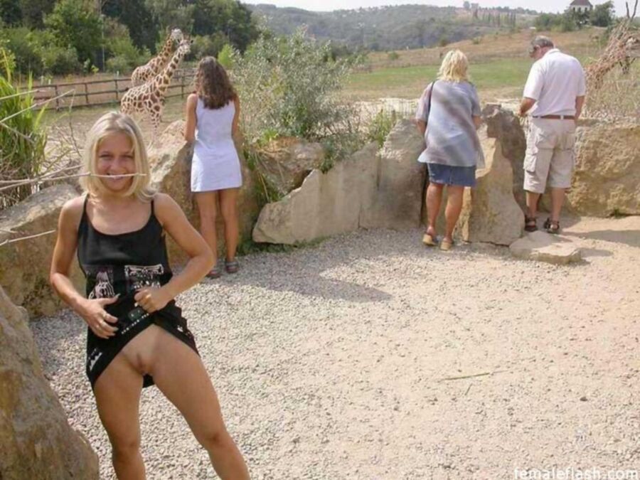 Free porn pics of Blonde Teen Flashing in Zoo ! 1 of 10 pics