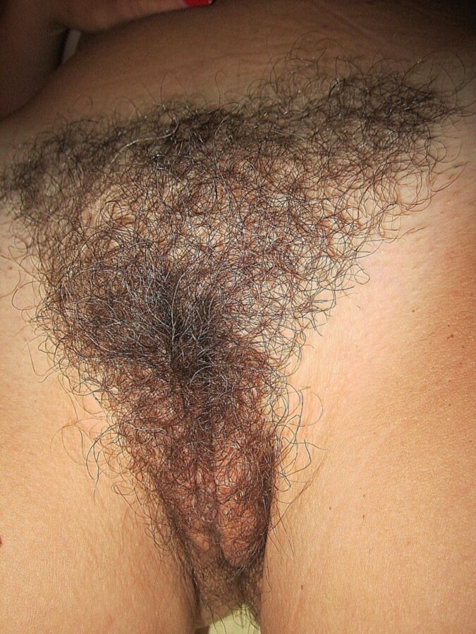 Free porn pics of Exploring of hairy pussy passed out wife 10 of 10 pics