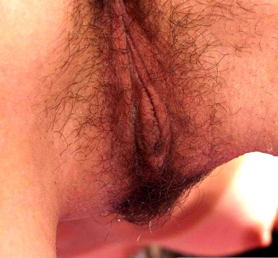 Free porn pics of Hairy Kitty 11 of 15 pics