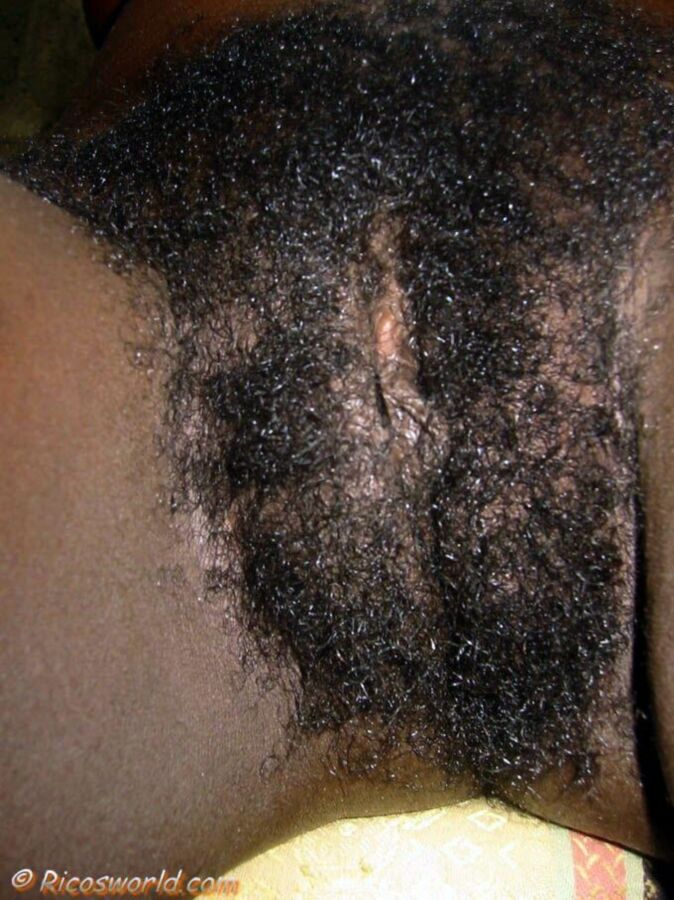 Free porn pics of Caribbean amateur brayli hairy pussy and ugly   20 of 34 pics