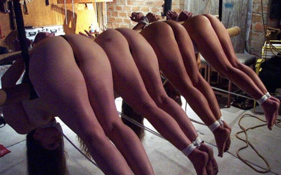 Free porn pics of Which one? Asses 17 of 17 pics