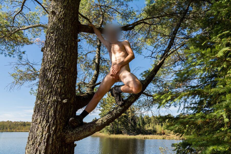 Free porn pics of Naked in a tree by a lake 12 of 14 pics