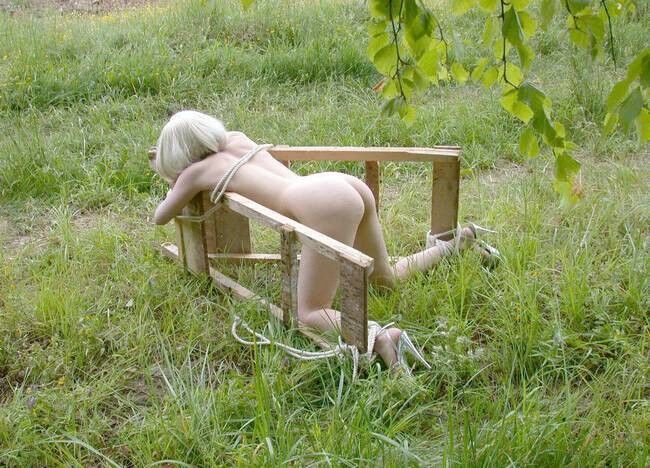 Free porn pics of Blonde girl tied in the wilderness 4 of 15 pics