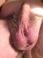 Free porn pics of my dick 2 of 2 pics