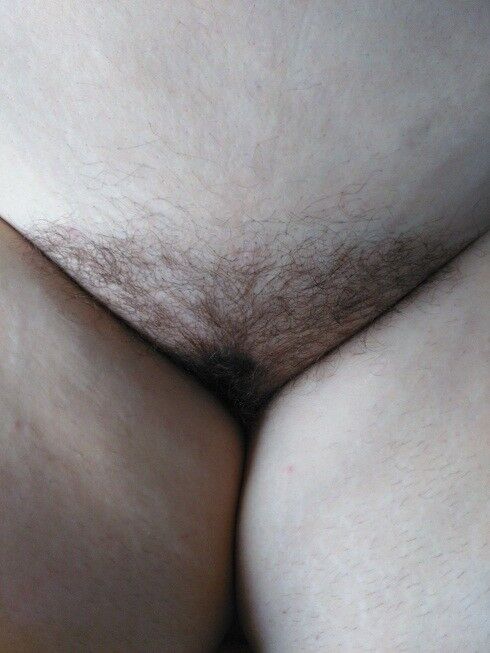 Free porn pics of bbw hairy pussy 3 of 8 pics