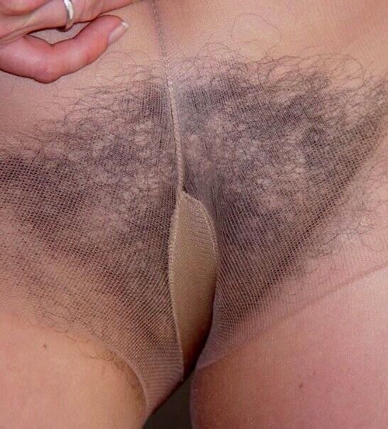 Free porn pics of Pantyhose hairy mature pussy 1 of 12 pics