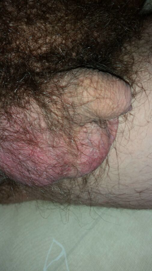 Free porn pics of Relaxed penis & scrotum 2 of 19 pics
