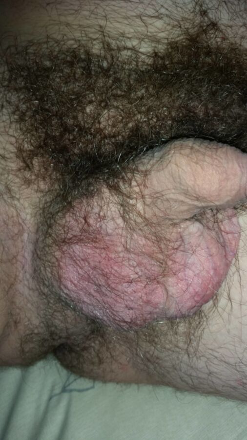 Free porn pics of Relaxed penis & scrotum 1 of 19 pics