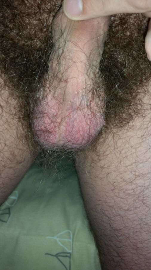 Free porn pics of Relaxed penis & scrotum 9 of 19 pics