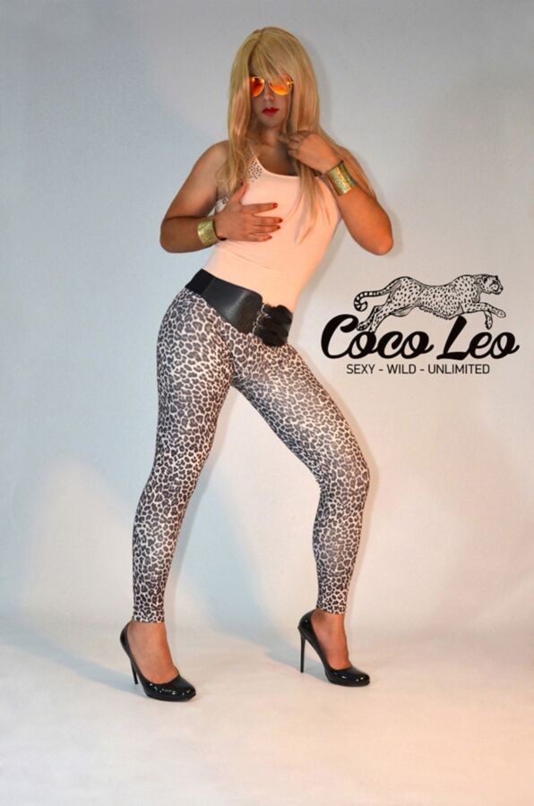 Free porn pics of Coco Leo Leopard Leggings 1 of 6 pics