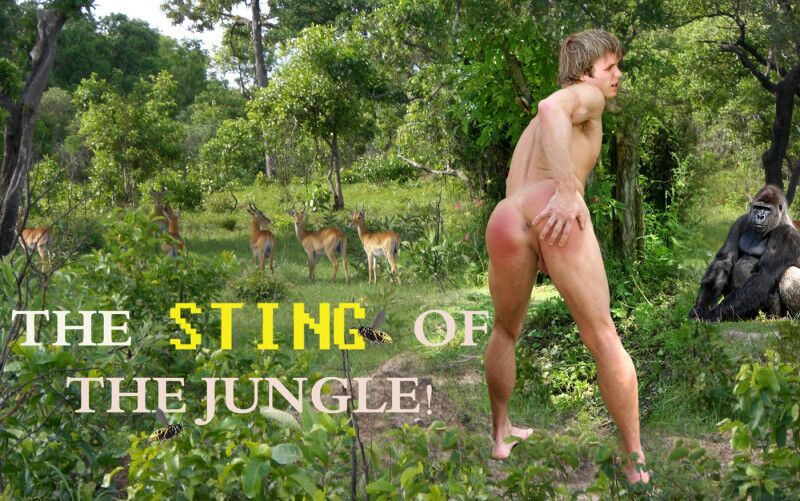 Free porn pics of THE STING OF THE JUNGLE POOR BABY 1 of 58 pics