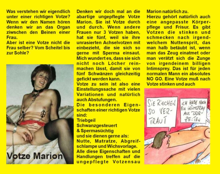 Was ist eine votze