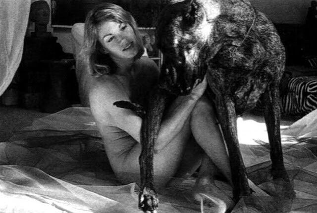 Free porn pics of Brigitte Lahaie Likes Them Big 14 of 16 pics