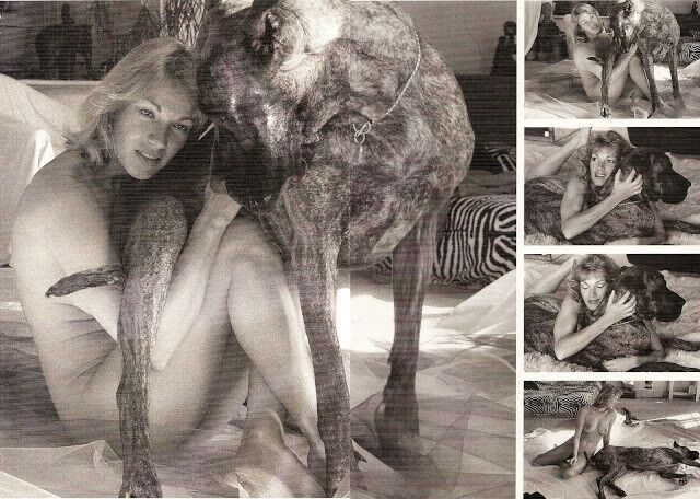 Free porn pics of Brigitte Lahaie Likes Them Big 12 of 16 pics