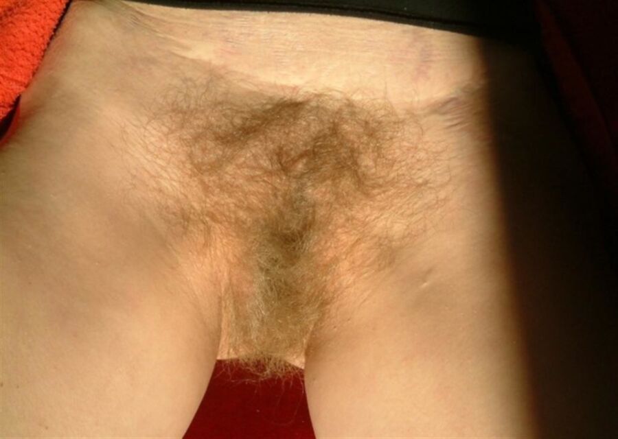 Free porn pics of Hairy Wife 16 of 107 pics