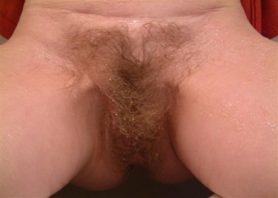 Free porn pics of Hairy Wife 23 of 107 pics