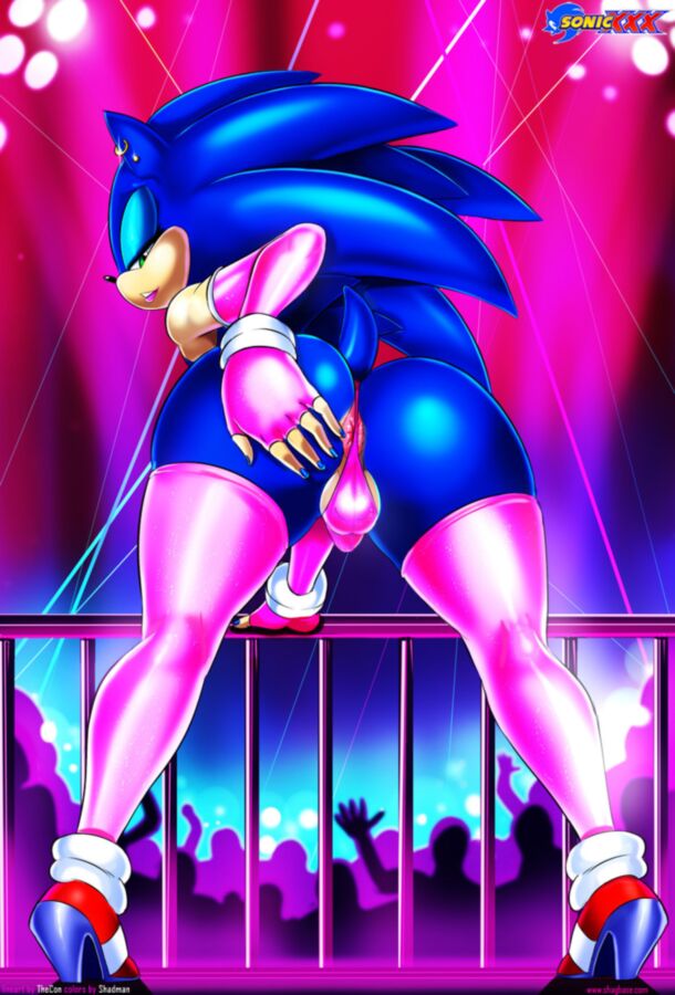 Free porn pics of Sonic The Hedgewhore 4 of 35 pics