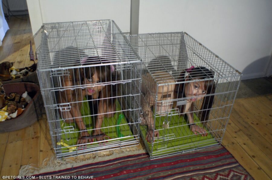 Free porn pics of Caged Pets II 1 of 29 pics
