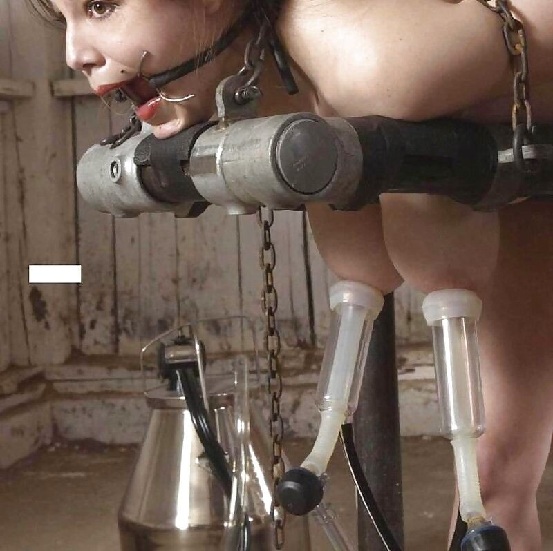 Free porn pics of BDSM tortured and milked. 7 of 19 pics
