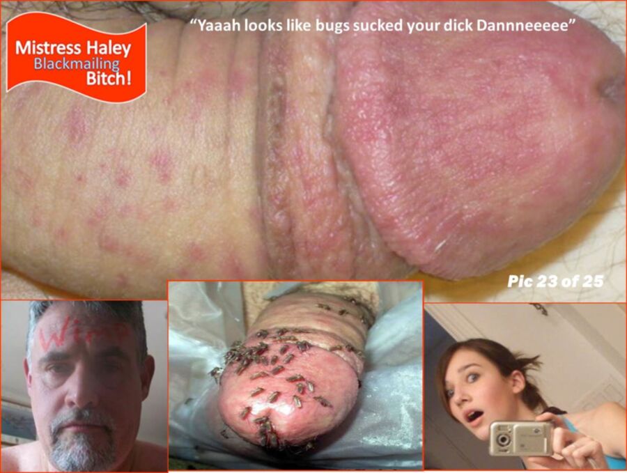 Free porn pics of Playing with Mistress Haley V - Skeeter torture 24 of 34 pics