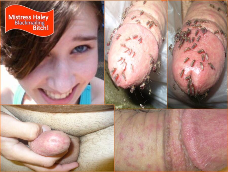 Free porn pics of Playing with Mistress Haley V - Skeeter torture 1 of 34 pics
