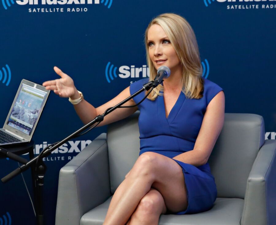 Love Jerking Off To Conservative Dana Perino Celebrity Porn Photo