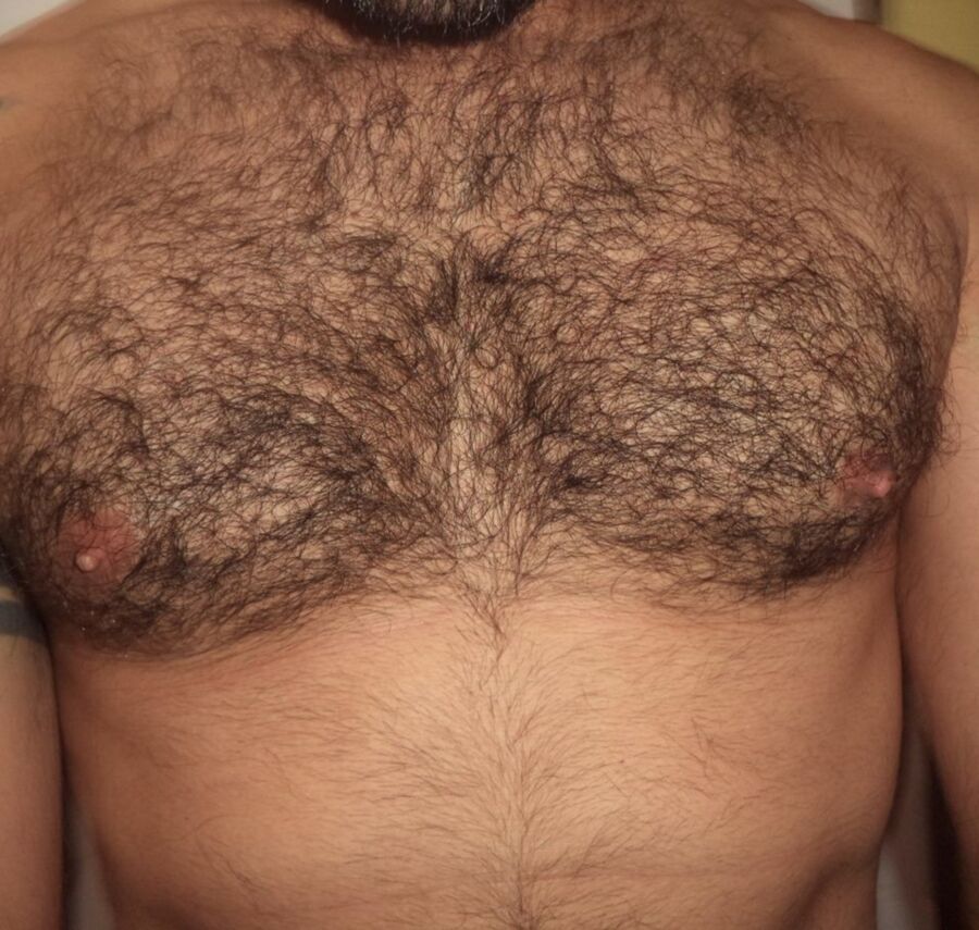 Free porn pics of Hairy chests from around the world  1 of 6 pics