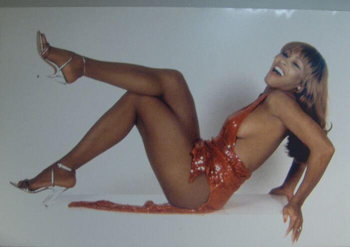 Free porn pics of Tina Turner - The Essential Collection 18 of 62 pics