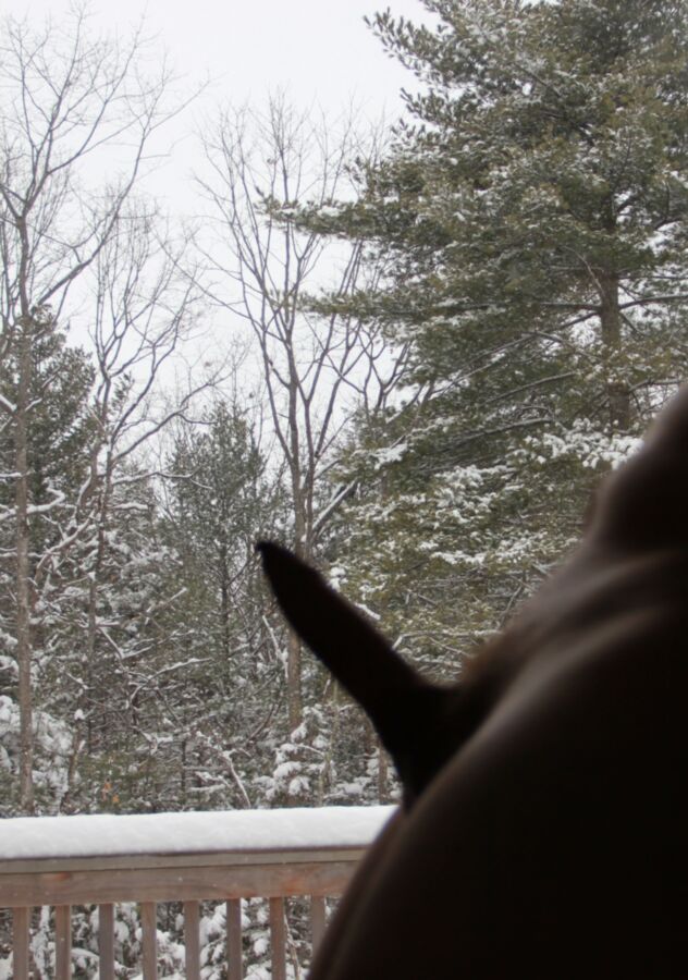 Free porn pics of Snow Day Penis 6 of 12 pics