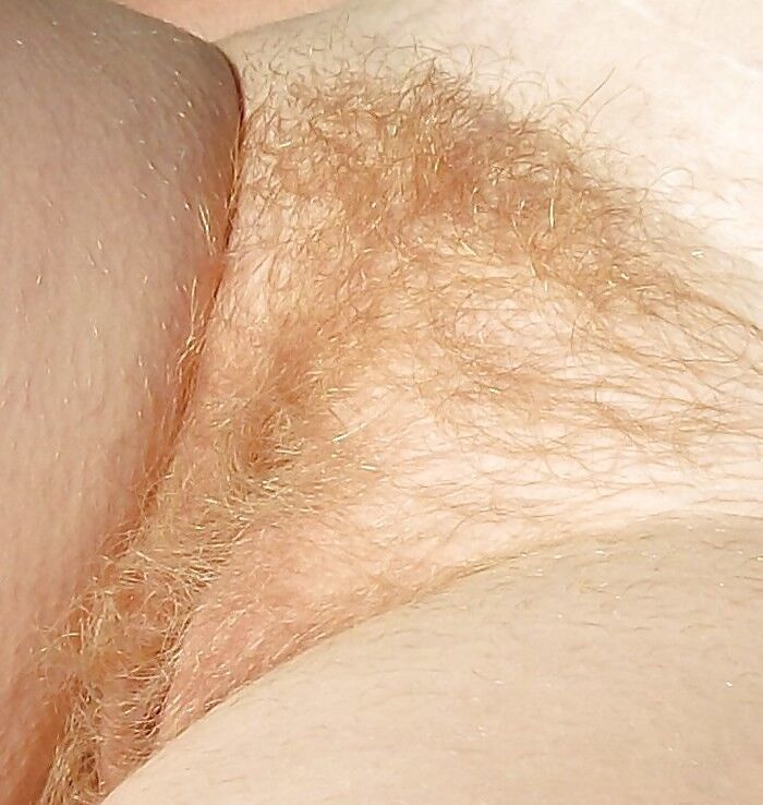 Free porn pics of Hairy Redheads 21 of 25 pics