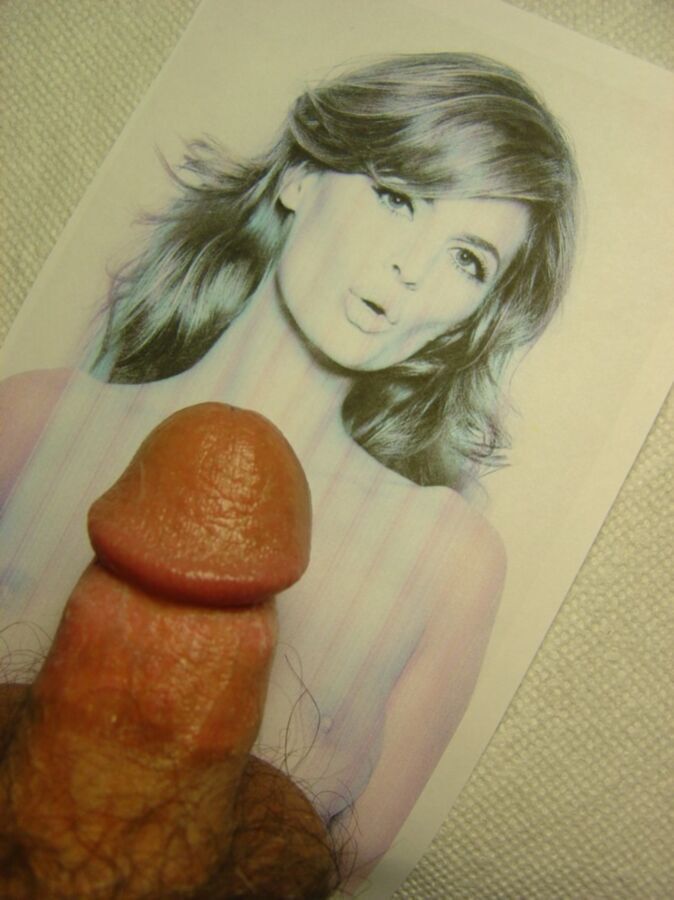 Cum Tribute To Stana Katic Celebrity Porn Photo