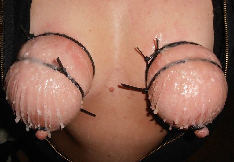 Free porn pics of Torture tits  1 of 64 pics
